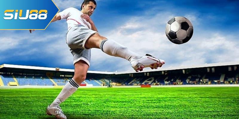 Kèo lựa được dùng nhiều nhất