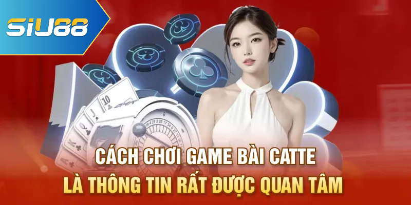 Cách chơi game bài catte là thông tin rất được quan tâm