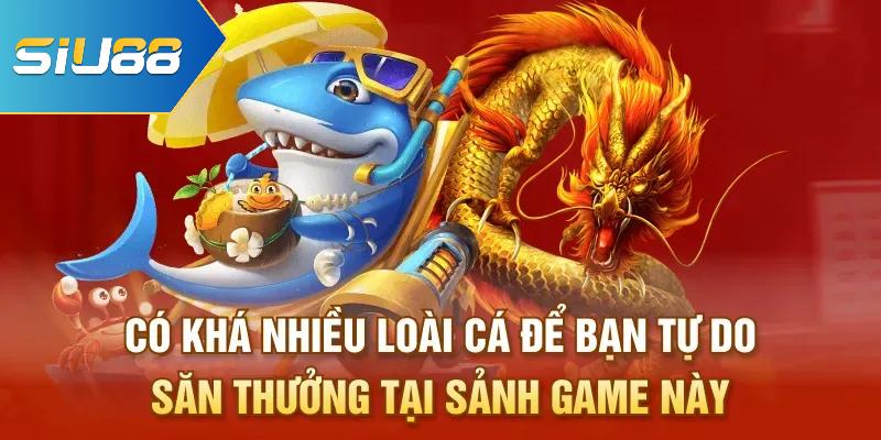 Có khá nhiều loài cá để bạn tự do săn thưởng tại bắn cá Siu88