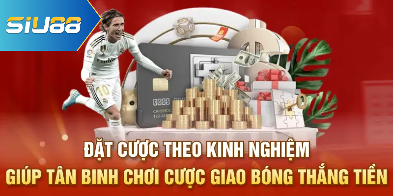 Đặt cược theo kinh nghiệm giúp tân binh chơi cược giao bóng thắng tiền