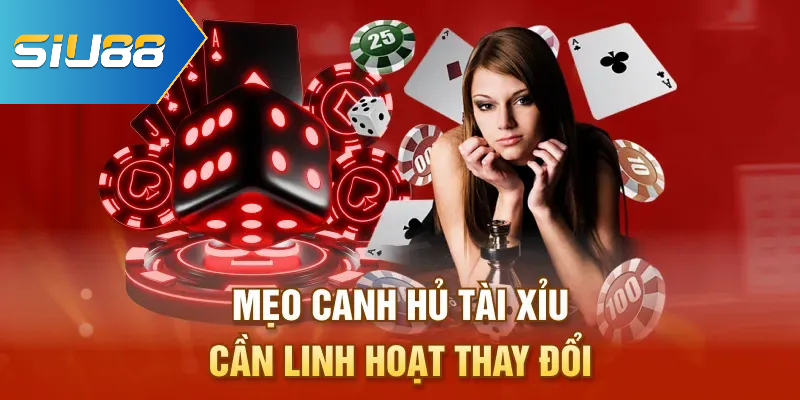Mẹo canh hủ tài xỉu cần linh hoạt thay đổi