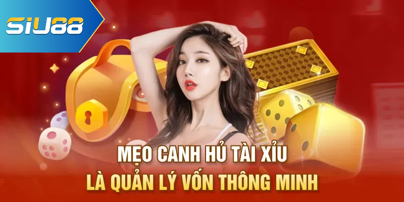 Mẹo canh hủ tài xỉu là quản lý vốn thông minh