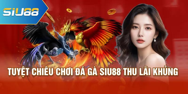 Tuyệt chiêu chơi đá gà Siu88 thu lãi khủng